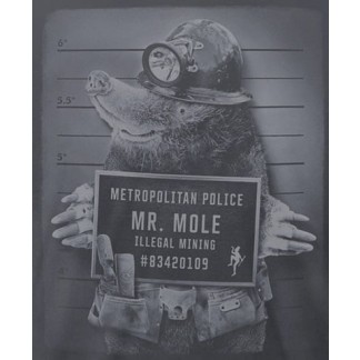 DIRTY VELVET MR. MOLE (DV61817) - Charcoal
