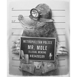 DIRTY VELVET MR. MOLE (DV61818) - Vintage White
