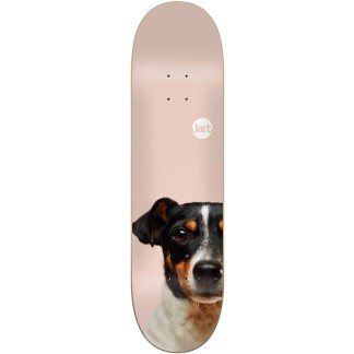 JART FRIENDS 8.125" - Coral