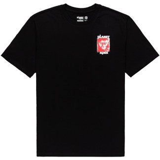 ELEMENT POTA DOMINION SS (Z1SSQ2 3732) - Flint Black
