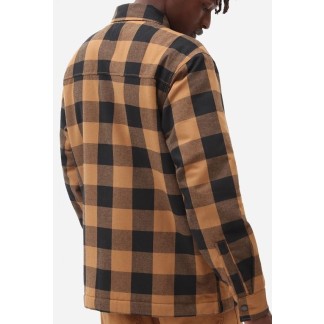camisa dickies dk0a4xgrbd01-2