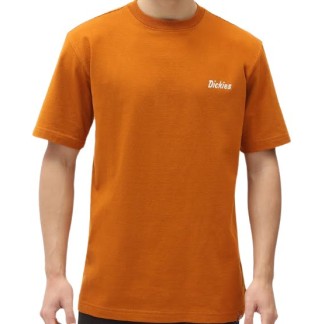 DICKIES BETTLES (DK0A4XHFB83) - Pumpkin Spice
