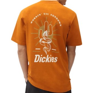 DICKIES BETTLES (DK0A4XHFB83) - Pumpkin Spice