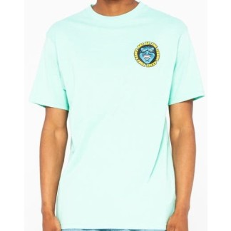 camiseta santa cruz sw logo mash jade green 01