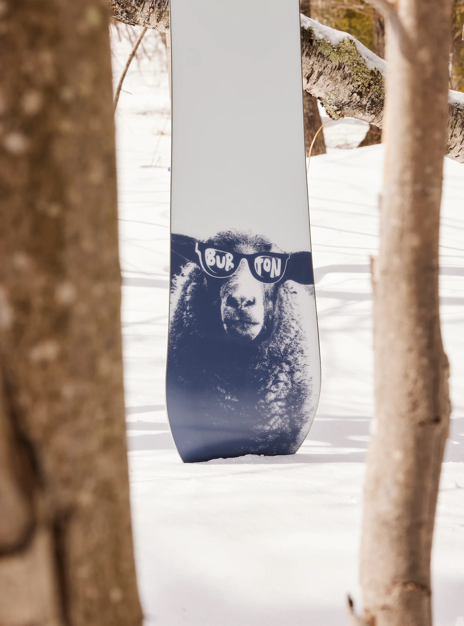 BURTON TABLA SNOWBOARD
