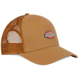 DICKIES GORRA HANSTON BROWN DUCK FRONT