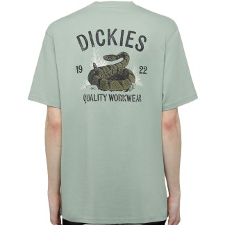 DICKIES CAMISETA MANGA CORTA SNAKE ICEBERG GREEN BACK