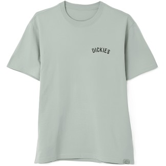 DICKIES CAMISETA SAKTE ICEBER GREEN