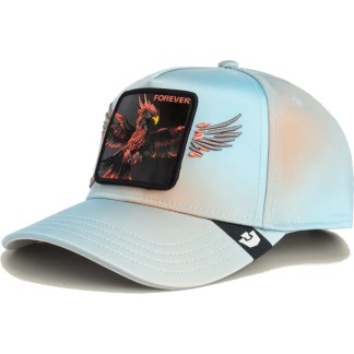 goorin-bros-curved-brim-phoenix-forever-never-stop-never-stopping-wings-the-farm-multicolor-snapback-cap