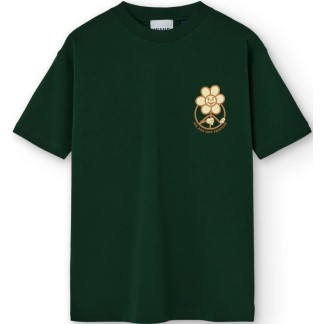 DAISY GREENLAND GREEN FOREST 01 IN25