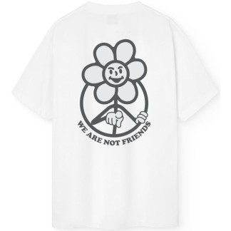 SNOW DAISY WHITE 00 IN25