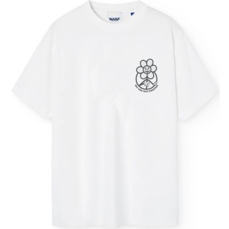 SNOW DAISY WHITE 01 IN25