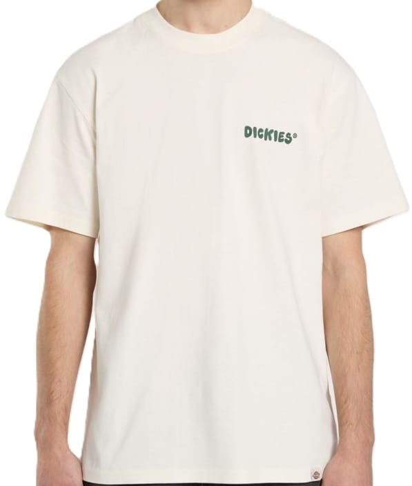 dickies+camisetas+DK0A87QUC481-2_1_6