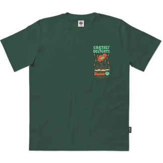 THE DUDES CAMISETA MANGA CORTA EARTHLY DELIGHTS BOTTLE GREEN FRONT