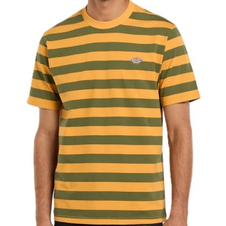 camiseta-dickies-rivergrove-cypress-00