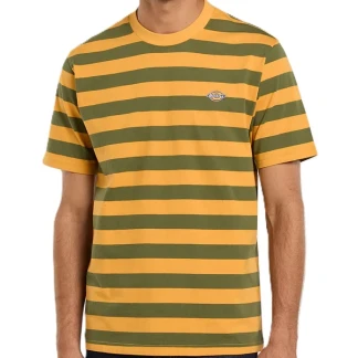 camiseta-dickies-rivergrove-cypress-00