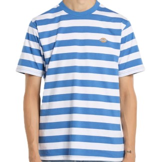 camiseta-dickies-rivergrove-delftt-00