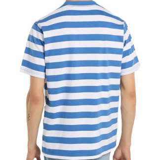 camiseta-dickies-rivergrove-delftt-01