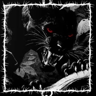 tabla-skate-panther-black