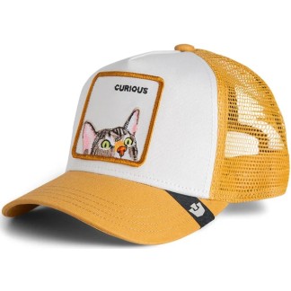 GOORIN BROS GORRA CURIOUS CAT MINI AMBER FRONT