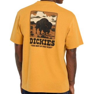 DICKIES CAMISETA MANGA CORTA DARRTOWN SUNFLOWER BACK