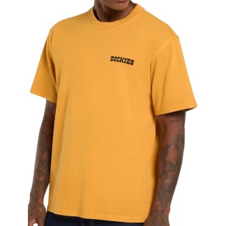 DICKIES CAMISETA MANGA CORTA DARRTOWN SUNFLOWER FRONT