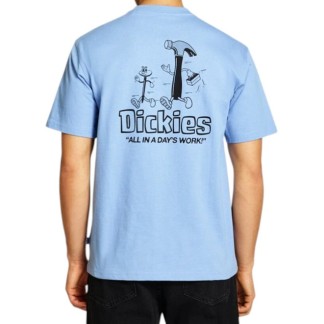 DICKIES CAMISETA MANGA CORTA FAIRLAWN ENDLESS SKY BACK