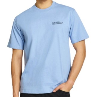 DICKIES CAMISETA MANGA CORTA FAIRLAWN ENDLESS SKY FRONT
