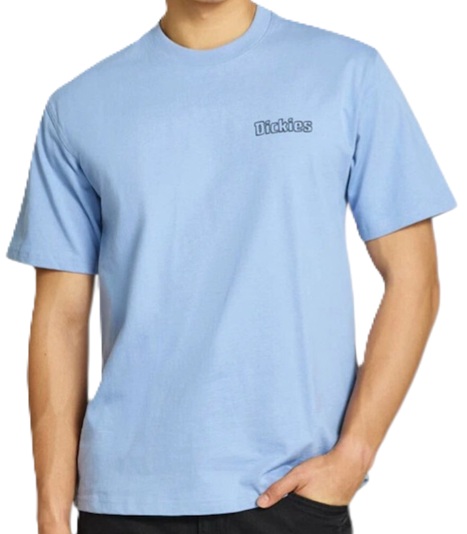 DICKIES CAMISETA MANGA CORTA FAIRLAWN ENDLESS SKY FRONT
