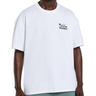 DICKIES CAMISETA MANGA CORTA POLK WHITE FRONT