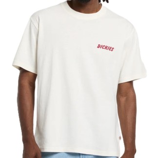 DICKIES-CAMISETAS-DK0A8853C48-2