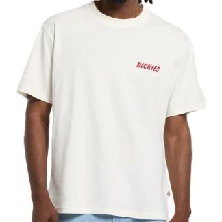 DICKIES-CAMISETAS-DK0A8853C48-2