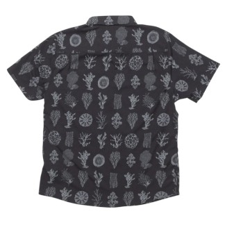 SALTY CREW CAMISA MANGA CORTA BREEZER PERF BUTTON PHANTOM BACK