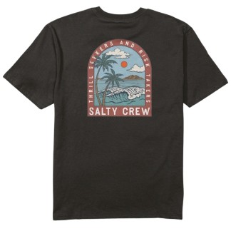 SALTY CREW CAMISETA MANGA CORTA ARCHWAY CLASSIC BLACK BACK