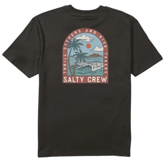 SALTY CREW CAMISETA MANGA CORTA ARCHWAY CLASSIC BLACK BACK
