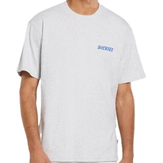 dickies-camiseta-DK0A8853A28-2