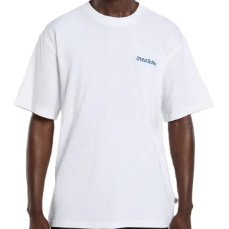 dickies-camiseta-DK0A88540WH-2