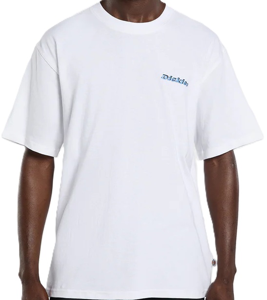 dickies-camiseta-DK0A88540WH-2