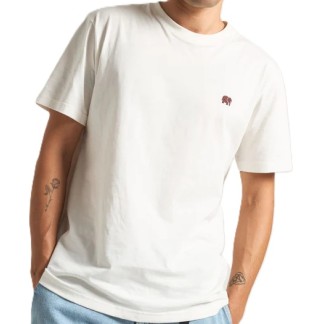 trendplant-essential-DROPIA0666