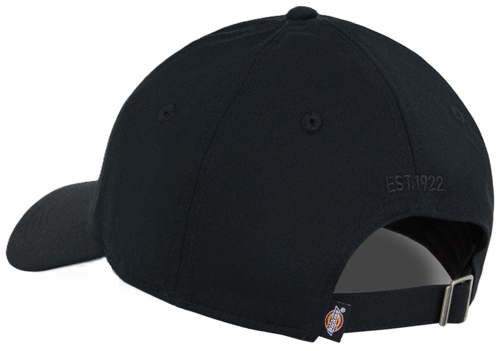 DICKIES GORRA ESSENTIAL DAD CAP UNICA BLACK BACK DK0A4Z6NBLK