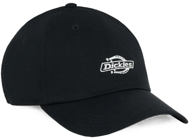 DICKIES GORRA ESSENTIAL DAD CAP UNICA BLACK FRONT DK0A4Z6NBLK