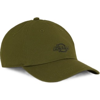dickies-gorra-DK0A4Z6NK72-1