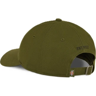 dickies-gorra-DK0A4Z6NK72-2