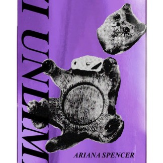 jacuzzi-new-pro-broken-cat-skateboard-deck-8-25-2_800x800