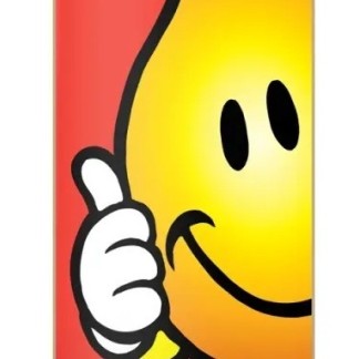 world-industries-skateboards-flameboy-wrap-complete-76