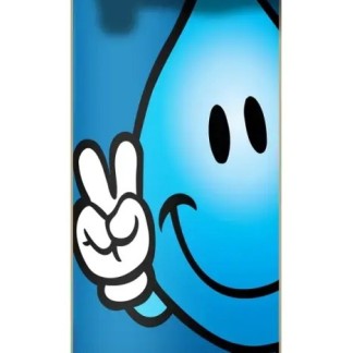 world-industries-skateboards-wet-willy-wrap-complete-776