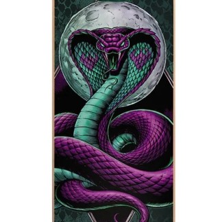 TDA110-TABLA-SKATE-COMPLETA-DARKSTAR-SNAKE-AQUA-8.0-1