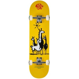 PUSH SKATE COMPLETO BOLIVIA MLSL