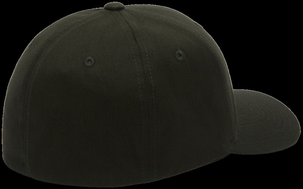 VOLCOM GORRA FUL STONE FLEXFIT SCARAB BACK