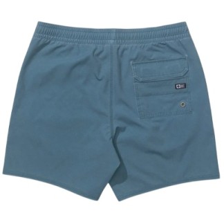 SALTY CREW BAÑADOR SEADOG VOLLEY HYDRO BACK